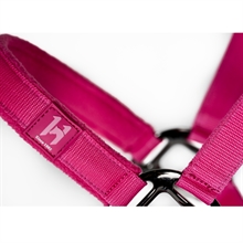 Witney Pink