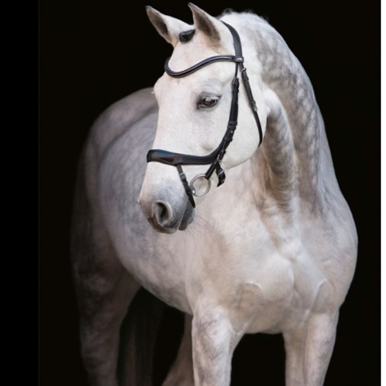 Schockemöhle SP Equitus Alpha