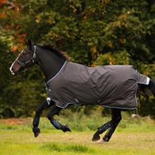 Amigo Bravo 12 pony regendeken lite 0 gram