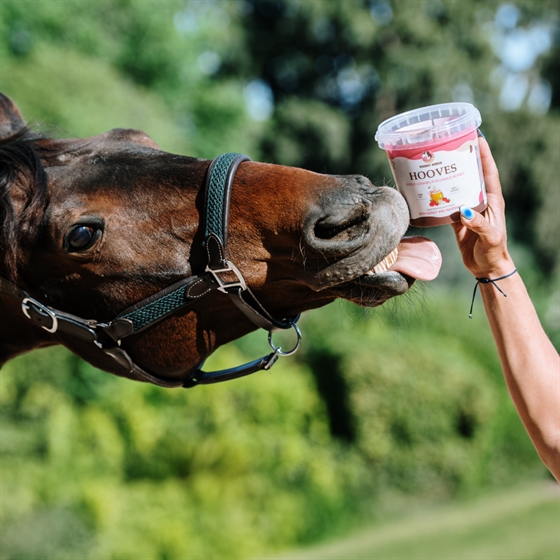 Candy Horse paardensnoepjes Hooves 1,2 liter emmer