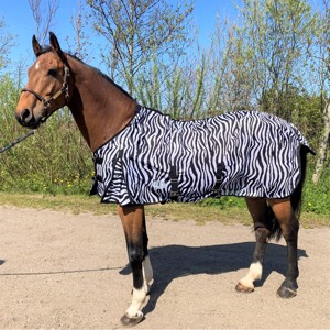 AB insectendeken Zebra normale hals