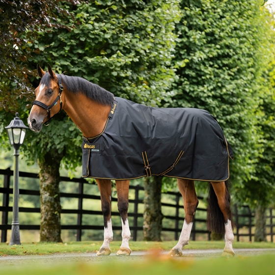 Bucas Irish Turnout 100 gram overgangsdeken