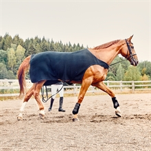 Kingsland Classic wol evolution walker deken