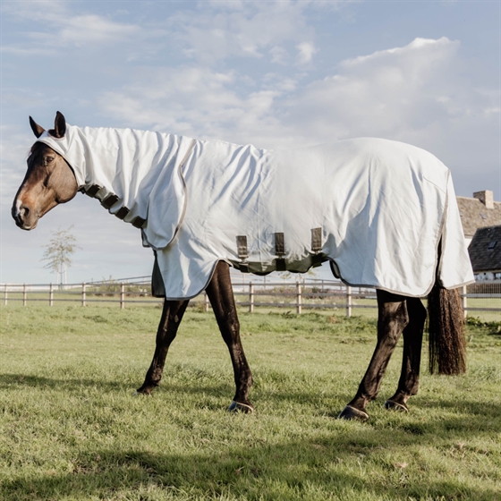 Kentucky Eczeemdeken