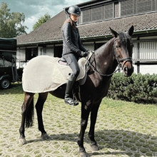 L'Evoine insect rijdeken Foliage 