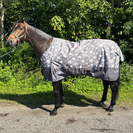 AB Regendeken Printed 50 gram