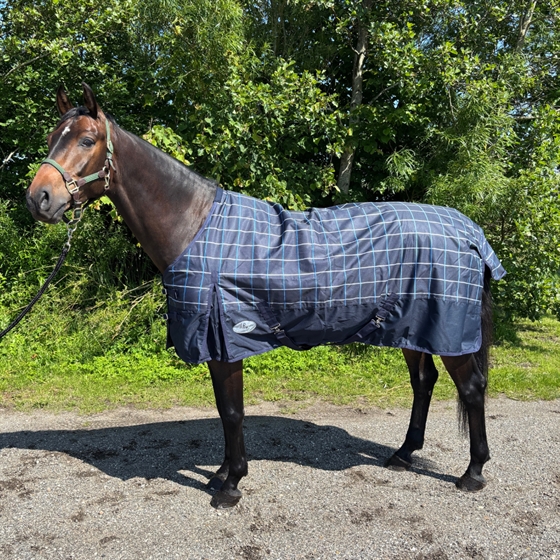 AB Regendeken Printed 50 gram