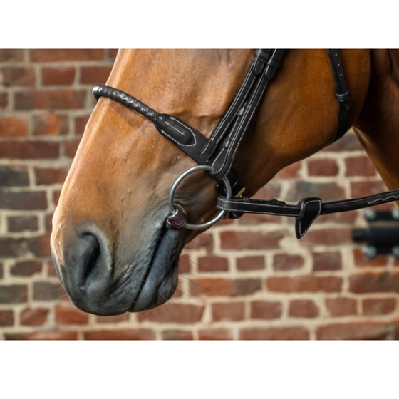 Dy\'on Rope neusriem