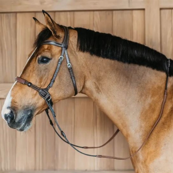 Dyon bitloos hoofdstel