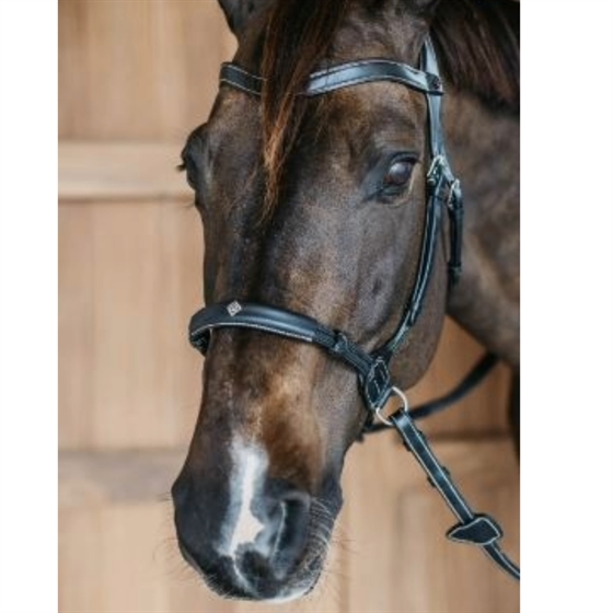 Dyon bitloos hoofdstel