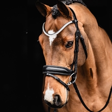 Schockemöhle SP Valencia