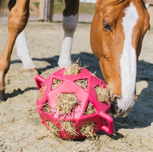 Kentucky Relax speel- en hooi bal