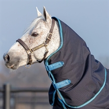 Navy, Turquoise, Aqua & Blue