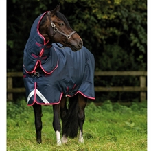 Horseware Amigo 1200D Plus Turnout 250 gram