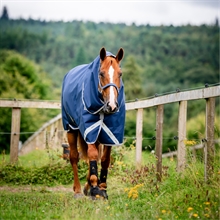 Navy/Titanium Grey & Silver
