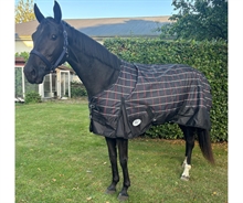 Black/ Ice Green Line