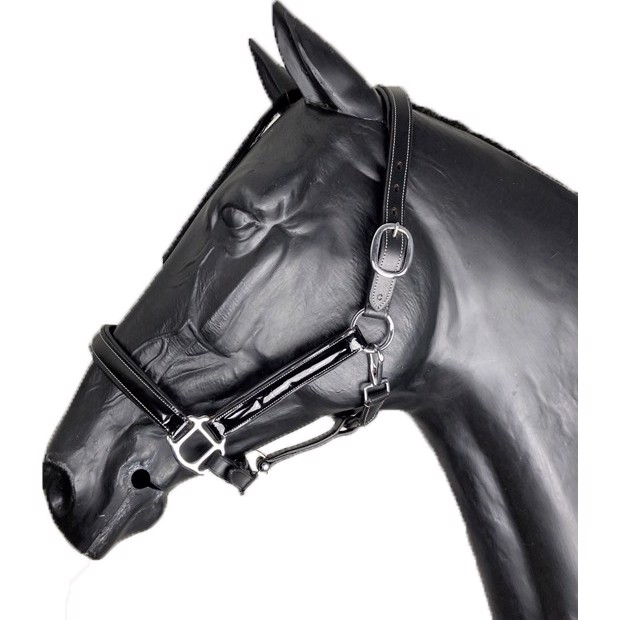 AB Lederen halster met lak