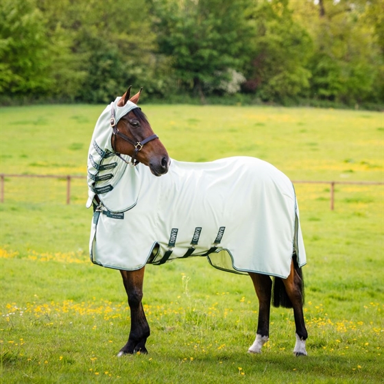 Chalk/Hunter Green & Silver