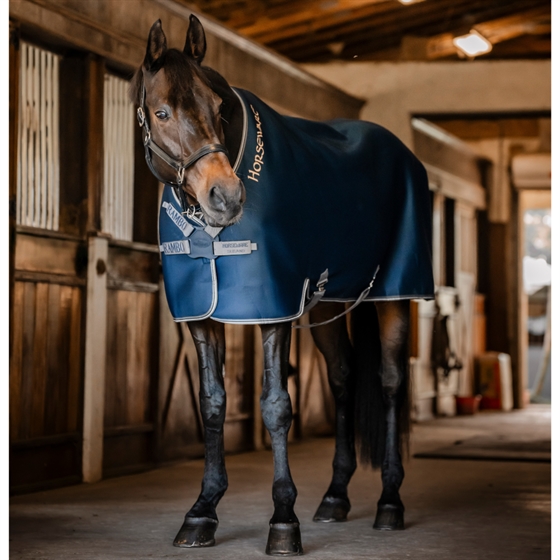 Horseware Rambo Airmax cooler deken disc front