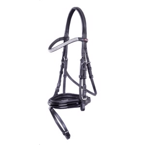 Premiere hoofdstel shetland en mini shetland Ajaccio