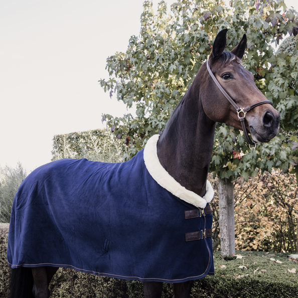Kentucky fleecedeken show rug heavy Navy