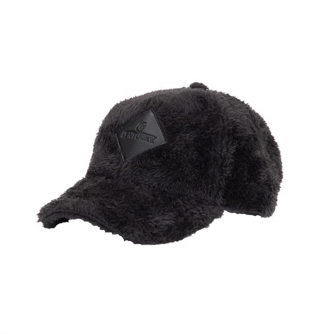 Kentucky teddy pet