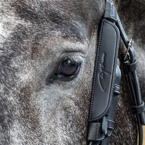 Dyon Blinkers Working by Dy\'on