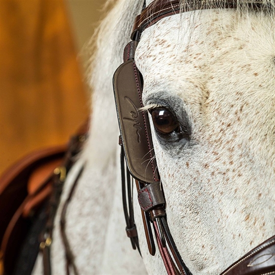 Dyon Blinkers Working by Dy\'on