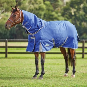 Weatherbeeta winterdeken 220 gram Comfitec Premier Free II detach-a-neck