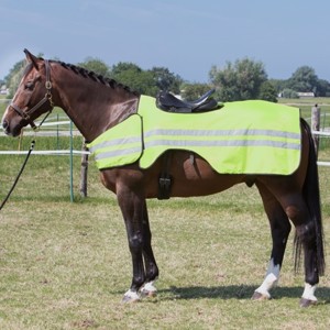 Harry's Horse Rijddeken met reflectie
