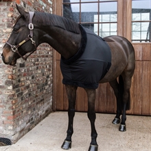 Kentucky borstbeschermer