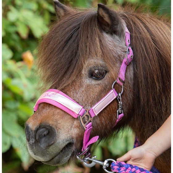 Harry\'s Horse halsterset Diva Violet