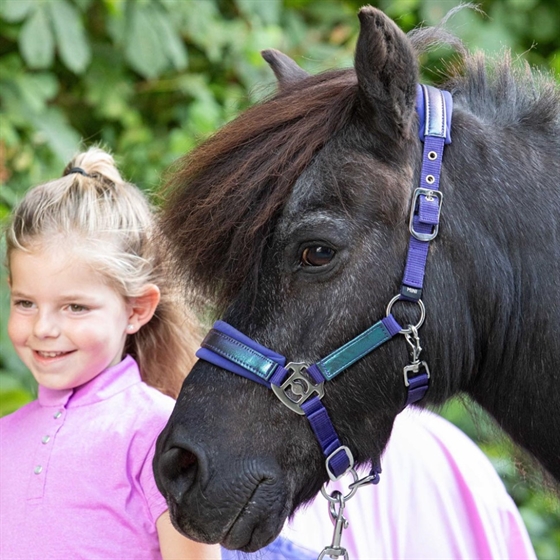 Harry\'s Horse halsterset Diva Violet