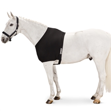 Eskadron Mesh borstbeschermer