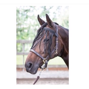 Harry's Horse Vliegfrontriem voor halster