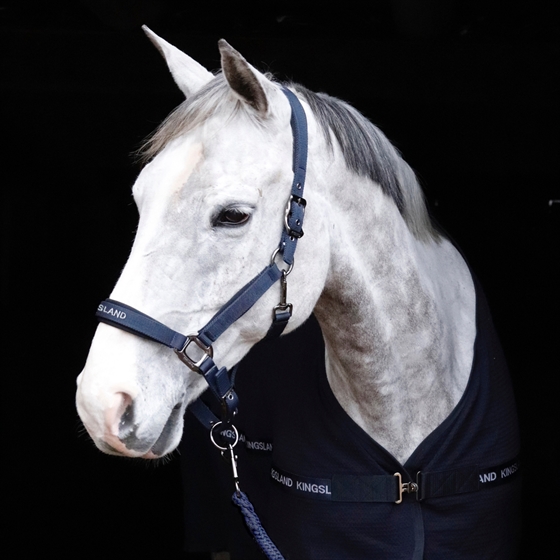 Kingsland KLHelen Halsterset