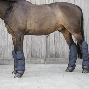 Kentucky transportbeschermers