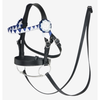 LeMieux Hobby Horse Showing Hoofdstel