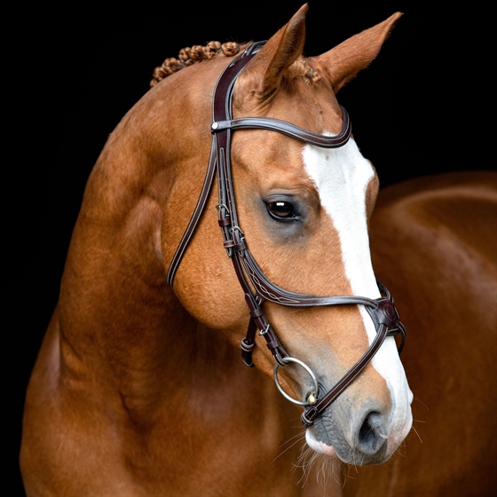 Montar hoofdstel bruin Lyon