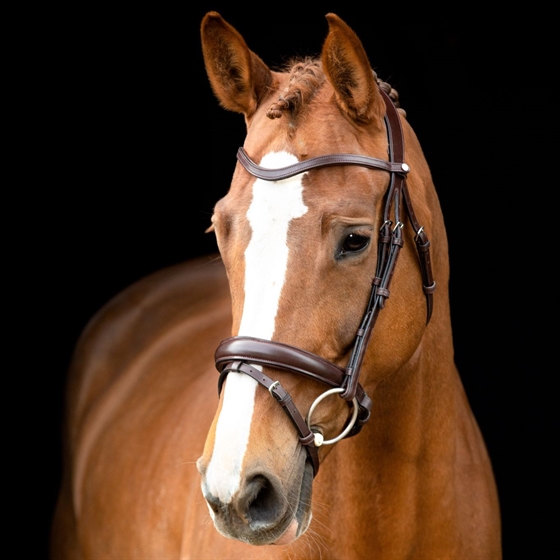 Montar Normandie hoofdstel bruin