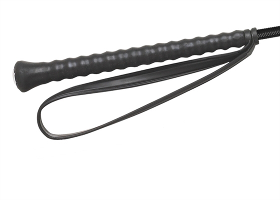 Fleck korte dressuurzweep