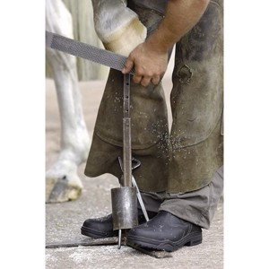 Mountain Horse Protective Jodhpur