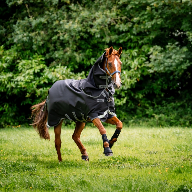 Welkom bij AB Rideudstyr