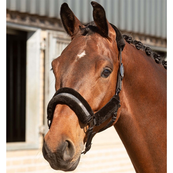 Harry\'s Horse halsterset Denici Cavalli Stardust