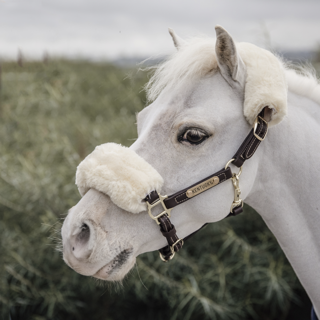 Kentucky leren halster met lamsvacht mini