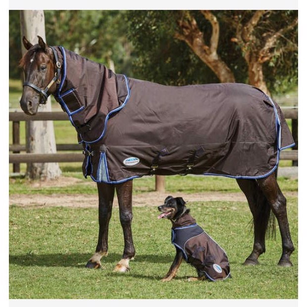 Weatherbeeta overgangsdeken 100 gram Comfitec Ultra Cozi II Detach-a-neck medium/lite